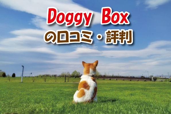 Doggy Box口コミ